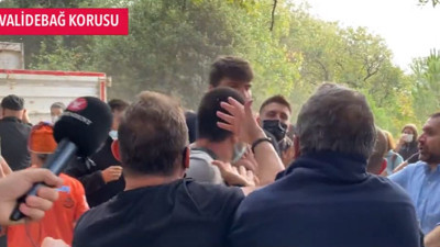 Validebağ Korusu’nda talan. AKP’li Belediyeye karşı koruyu savunanlara darp iddiası