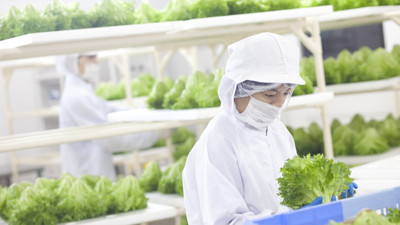 Korona aşıları soframıza geliyor