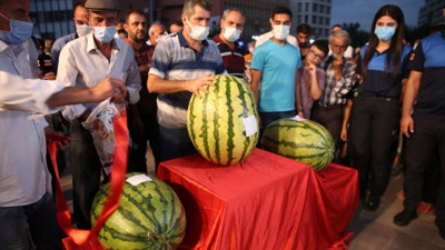 Festivalin şampiyonu 45,5 kiloluk karpuz