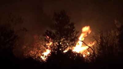 Mersin’de makilik alanda yangın