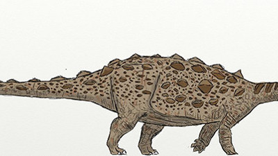 Tuhaf diken zırhlı dinozor türü keşfedildi