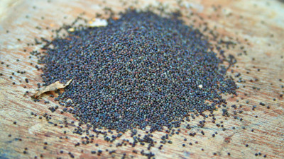 Baş ağrısını geçiriyor ilaçları çöpe attırıyor