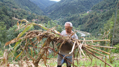 Atandığı ülkeye gidemeyen büyükelçi kendini bağ bahçe işlerine verdi