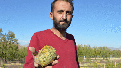 Yetişmez diyenlere inat bahçesinde yetiştirdi