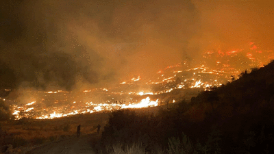 Muğla'da çıkan orman yangını kontrol altına alındı