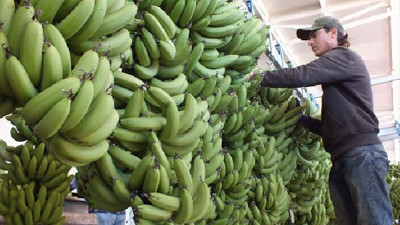 Muz tarlada 6 lira markette 15 lira