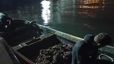 Yasa dışı avlanan midyeler denize bırakıldı