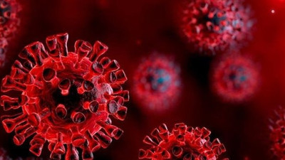 Can kaybı azalıyor. Vaka sayıları artıyor