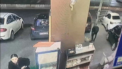 Suratından bıçaklanan köpek kan revan içinde dükkana sığındı