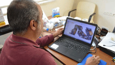 İran, Irak ve Yunanistan'da görülen kın kanatlı böcek Türkiye'de ilk kez görüldü