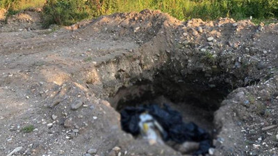 Giresun'da vahşet. Çukurda 10 ölü köpek bulundu