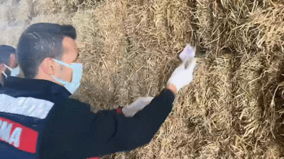 Samanlıkta didik didik aradılar