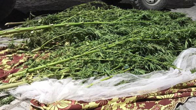 Hevsel Bahçeleri'ne uyuşturucu operasyonu