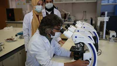 2 yıl boyunca laboratuvardan çıkmadılar araştırdılar! Hamsinin inanılmaz faydaları ortaya çıktı