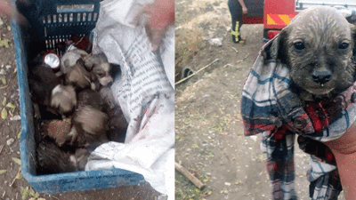 Sesleri duyan koşup itfaiyeyi aradı