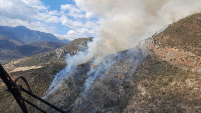 Anamur'da orman yangını
