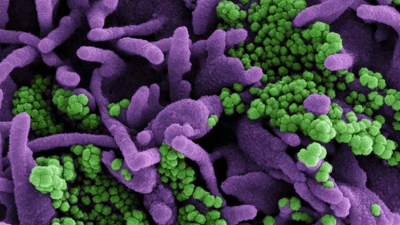 Korona virüste yeni varyant ortaya çıktı