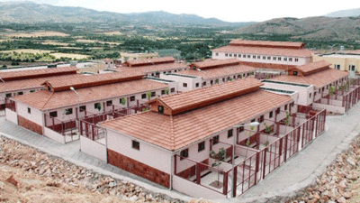 AKP'li belediyenin hayvan hastanesinde şoke eden iddialar. Adete hayvan soykırımı yapılmış