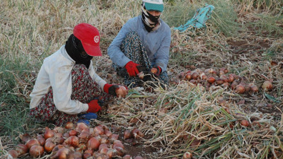 Çitfçiden, Bahçeli'ye tepki