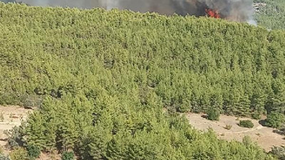 Antalya'da orman yangını (24 Ekim 2021)