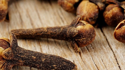 Karanfil yağı diş ve baş ağrısını bitiriyor mide bulantısını geçiriyor