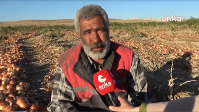 Çiftçi isyan etmesin de ne yapsın. 1 liraya üretiyor, 30 kuruşa satıyor