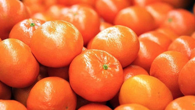 Rusya, 218 ton mandalinayı Türkiye’ye gönderdi