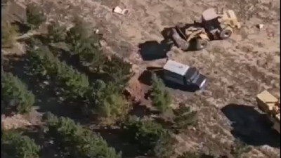 Kan donduran iddia: Onlarca köpek canlı canlı gömüldü