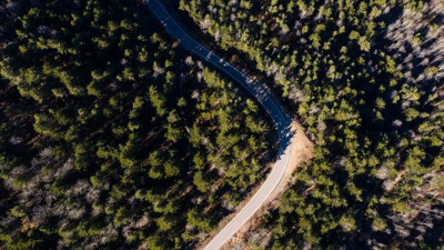 Nallıhan'daki ormanlık alan 'Milli Park' oldu