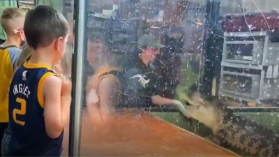 Bakıcının elini kapan timsah kolu koparmak için havuzun içinde defalarca çevirdi