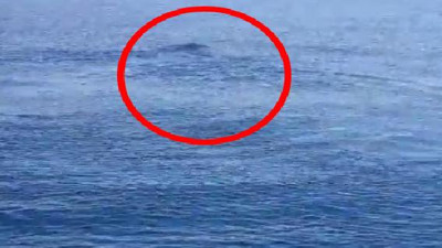 Van Gölü canavarı hortladı. Efsane geri döndü