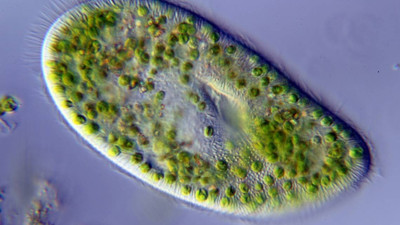 İklim değişikliğinin önüne geçilebilir mi?