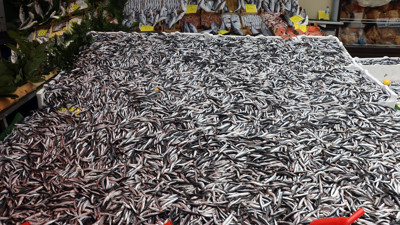 Hamsinin fiyatı düştü, tezgahlar hareketlendi