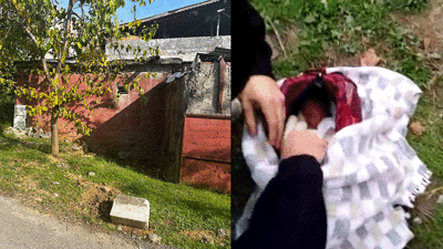 Bu nasıl vicdansızlık! Yol kenarında bulundu