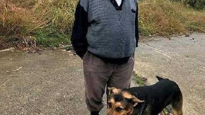 Fero isimli köpek sahibinin mezarından bir an olsun ayrılmıyor