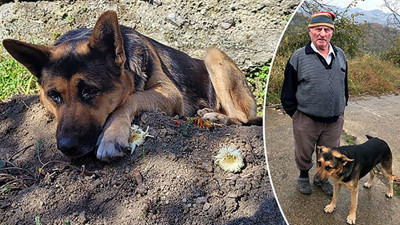 Vefa sadece bir semt adı değilmiş