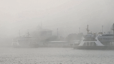 İDO ve BUDO seferleri iptal edildi