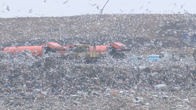 İstanbul'da 190 bin hanenin elektriği çöpten üretiliyor