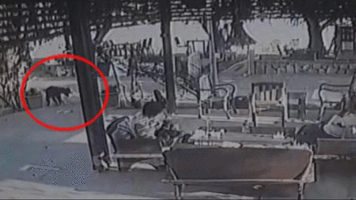 Muğla'da dehşete düşüren olay