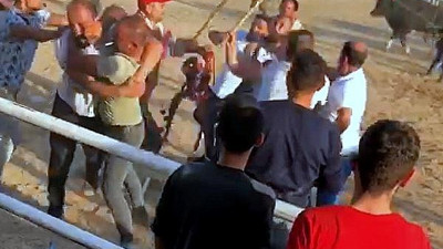 Muğla'da boğalar güreşti, sahipleri kavga etti (07 Kasım 2021)