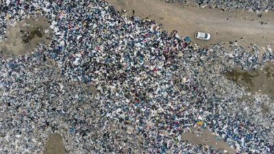 Her yıl tonlarcası geliyor. Giderek daha fazla zarar görüyor