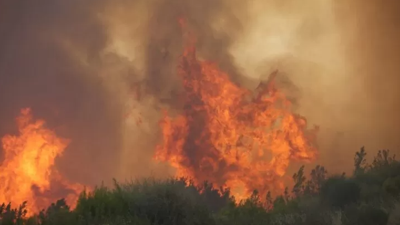 Manavgat'ta orman yangını