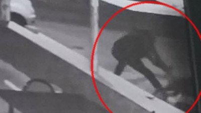 Pitbull dehşeti bitmiyor. Hem köpeği hem sahibini yaraladı