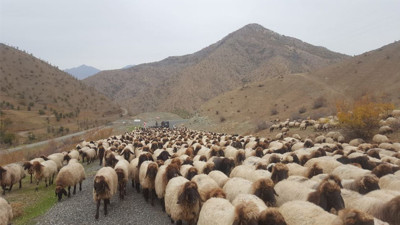 Göçerlerin zorlu dönüş yolculuğu başladı