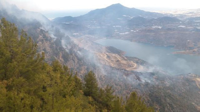 Bodrum'da makilik alanda yangın (15 Kasım 2021)