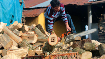Trabzon'da odunu kesti bu defa ayı yavrusu figürü çıktı