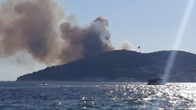 Heybeliada ormanlarını yakan caniye rekor ceza