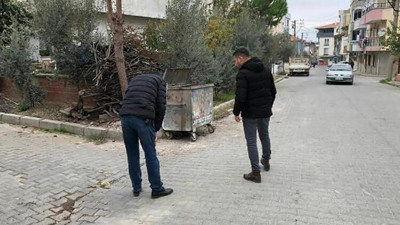 'Seri kedi katili' için özel ekip kuruldu