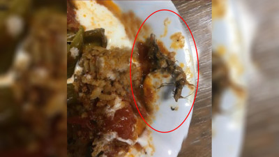 Kız yurdunda yemekten fare ölüsü çıktı iddiası