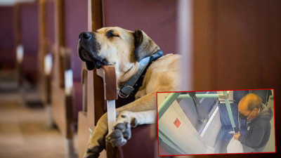 Boji’ye atılan iftiranın arkasından hangi AKP’li belediye başkanı çıktı. Kamuoyunun çok yakından tanıdığı isim hakkında bomba iddia